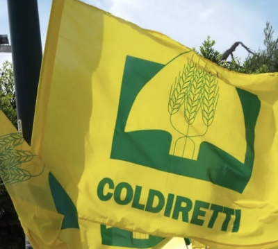 GUERRA/ Coldiretti “blocco delle esportazioni di fertilizzanti dalla Russia, allevatori pugliesi in ginocchio”