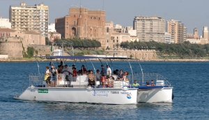 Il bilancio dell’estate: 90% di avvistamenti di delfini nei mari di Taranto!L’arrivo del catamarano da ricerca “Taras” ha permesso a 1.600 persone di diventare per un giorno “ricercatore scientifico” in mare associandosi a JDC