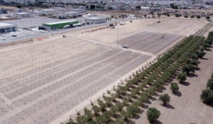 ENERGIA/ A Taranto primo parco fotovoltaico Shell Italia