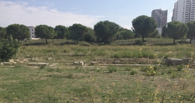 IL PROGETTO/ A Taranto, Arbolia e Windtre creano un bosco urbano da mille alberi