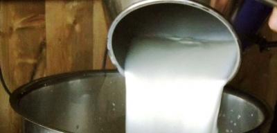 AGRICOLTURA - In arrivo latte dall&#039;estero a prezzi stracciati, Coldiretti lancia l&#039;allarme: invasione incontrollabile