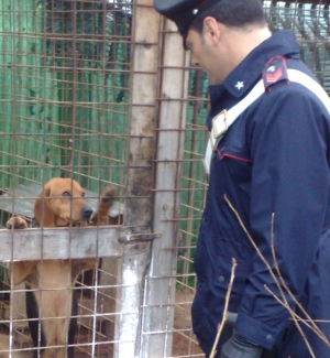 Taranto – Sequestrato Canile. In Località &quot;Monfredi&quot;.
