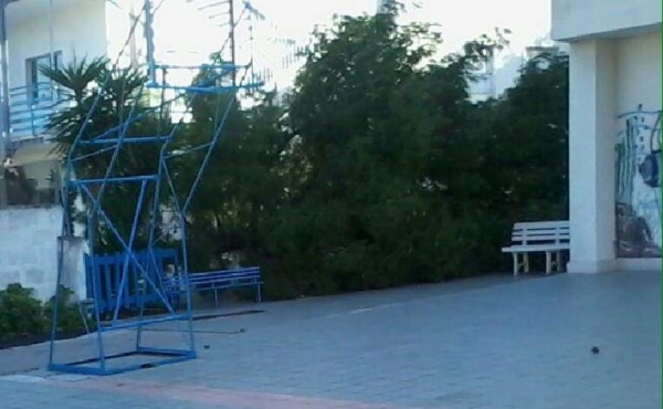 SCUOLA - Tragedia sfiorata alla &quot;Frascolla&quot; di San Vito: albero si schianta al suolo nel cortile dell&#039;istituto