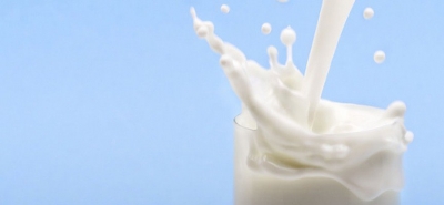 COLDIRETTI - C&#039;è il decreto sull&#039;etichettatura del latte, esultano gli allevatori ionici