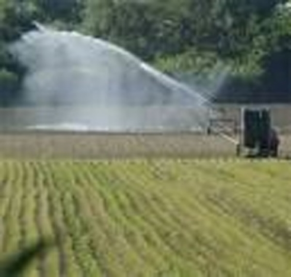 Agricoltura/ No all’aumento del costo dell’acqua da irrigazione a Taranto.