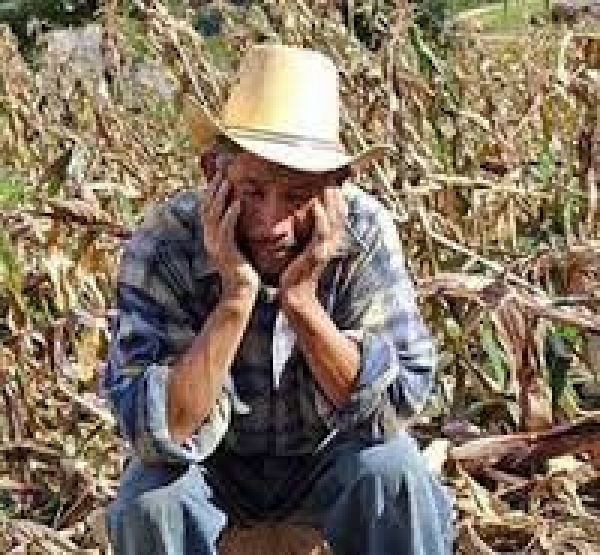 Crisi dell&#039;Agricoltura: assemblea pubblica ad Avetrana