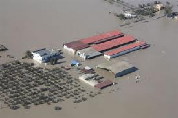 ALLUVIONE GINOSA - L’Assessore alle Risorse Agroalimentari della Regione Puglia, Fabrizio Nardoni, risponde ai deputati del Movimento 5 Stelle