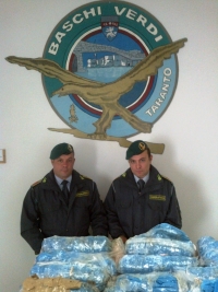 LITORALE JONICO - SEQUESTRATI 35 KG. DI MARIJUANA. IL GROSSO QUANTITATIVO DI STUPEFACENTI RINVENUTO DA DUE MILITARI DELLA GUARDIA DI FINANZA LIBERI DAL SERVIZIO.