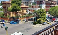TRAGEDIA SFIORATA/ Grosso albero di pino si abbatte al suolo in via Dante, schiacciata un’auto, strada bloccata