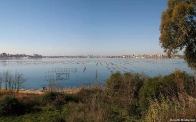 AMBIENTE/ La Regione Puglia approva il ddl per l’istituzione del Parco regionale del Mar Piccolo di Taranto