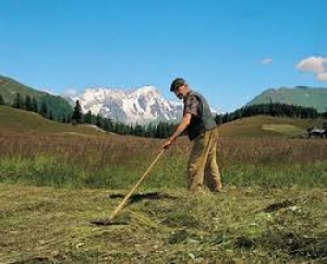 Il consigliere regionale PdL, Nino Marmo chide l&#039;intervento dell’assessore alle Politiche Agricole, Fabrizio Nardoni in merito agli abusi INPS ai danni di imprenditori agricoli in pensione”