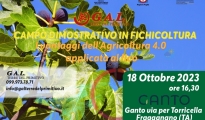 APPUNTAMENTI/ Campo dimostrativo sui vantaggi dell’Agricoltura 4.0 applicata al fico