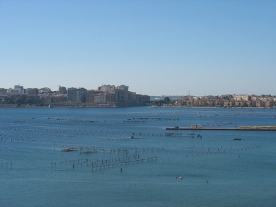 Classificazione delle acque del Mar Grande. La replica dell&#039;assessore regionale Fabrizio Nardoni al sindaco di Taranto Ezio Stefano .