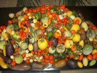 TARANTO - Il Porto diventa ortofrutticolo