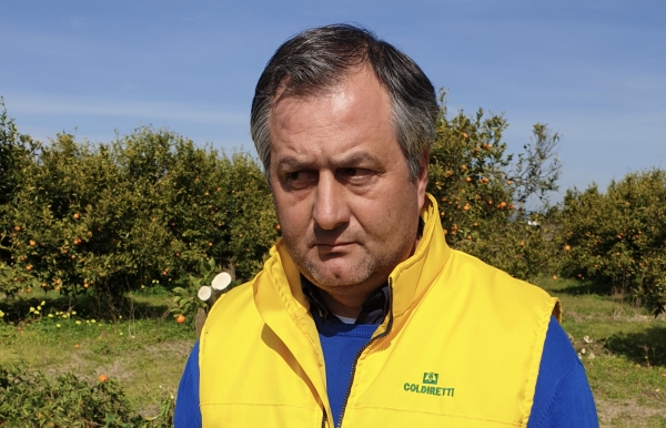 L’ALLARME/ Coldiretti Taranto “ Siccità, campagne a secco, c’è la necessità di  anticipare l&#039;irrigazione di soccorso”