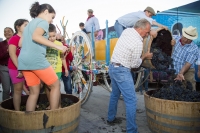 MARINA DI LIZZANO/ Festa di fine vendemmia. TRADIZIONI SALENTINE E BUON VINO PER LU CAPUCANALI.