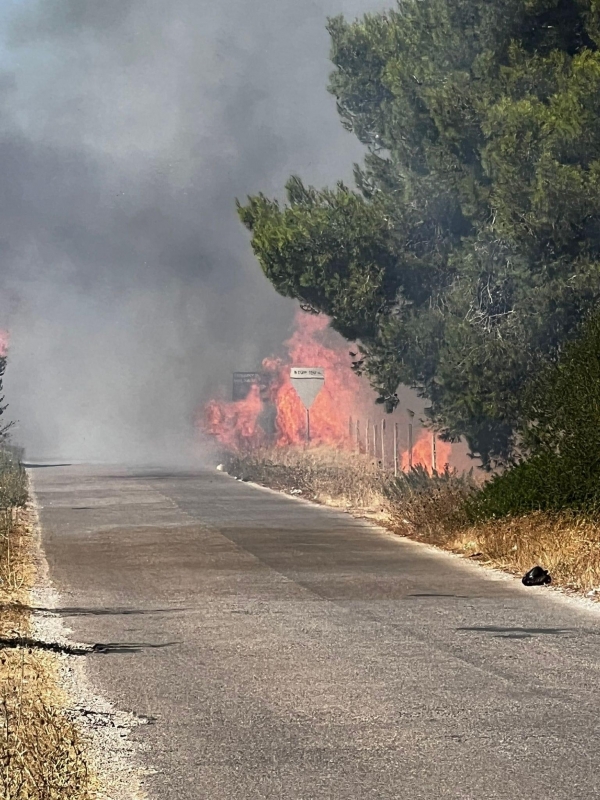 ROGO DI LIDO SILVANA/ Il responsabile dell incendio  trasferito in carcere