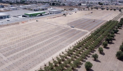 ENERGIA/ A Taranto primo parco fotovoltaico Shell Italia