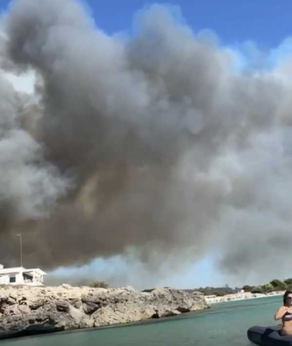PAURA SULLA LITORANEA/ Tre feriti e intossicati nell\&#039; incendio  che ha devastato la pineta