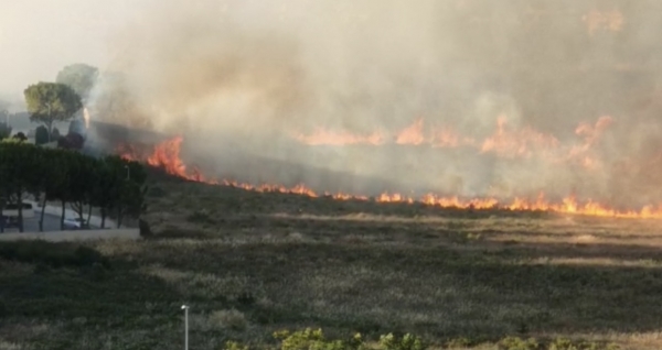 ALLARME/ A Taranto vasto incendio lambisce le case di Salinella e Taranto 2, VVF mobilitati