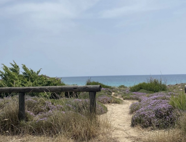 BANDIERE BLU/ La Puglia sale a 24 località premiate, 4 in provincia di Taranto