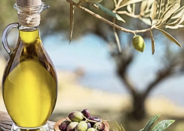 TENDENZE/ Olio evo sotto l’albero di Natale: in Puglia vendite in crescita del 25%