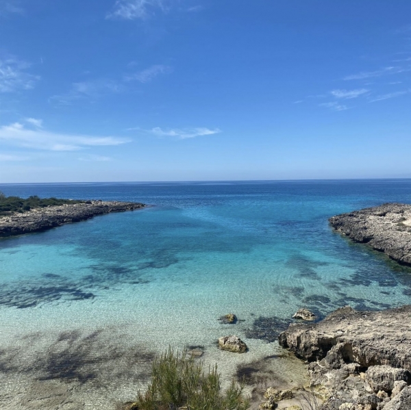 PRIMATI BELLI/ È il mare pugliese il più pulito d’Italia