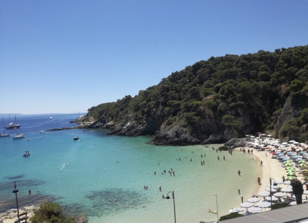 LABORATORIO PUGLIA/ Alle Isole Tremiti 4 summer school su Europa, memoria ed energia