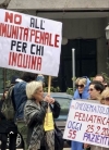 APPROVATO/ Decreto Ilva: c’è l’ok definitivo della Camera
