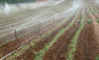 AGRICOLTURA/ La Cia chiede alla Regione Puglia la maggiorazione del carburante agricolo