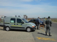 CASTELLANETA MARINA - VASTA OPERAZIONE ANTIDROGA DELLA GUARDIA DI FINANZA. DENUNCE E SEQUESTRI DI SOSTANZE STUPEFACENTI ESEGUITI DALLE FIAMME GIALLE JONICHE