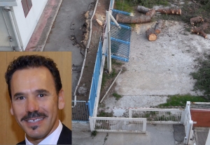 FORTE VENTO A TARANTO / Albero cade nel guardino di un asilo. Il presidente degli Agronomi &ldquo; Pi&ugrave; risorse per la tutela del patrimonio arboreo urbano!&rdquo;