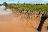 GINOSA - Per il Sindaco Vito De Palma occorre riconsiderare ed ampliare le misure in favore degli agricoltori colpiti dagli eventi alluvionali